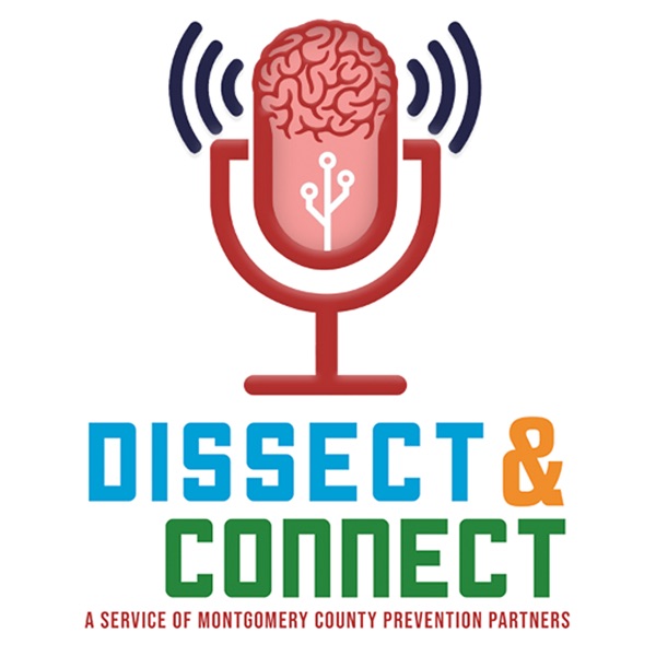 Artwork for Dissect & Connect