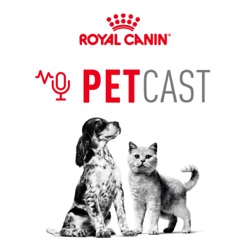 Petcast 5 – Salud y alimentación de nuestros cachorros y gatitos