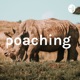 poaching 