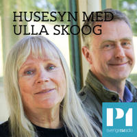 Husesyn med Ulla Skoog podcast