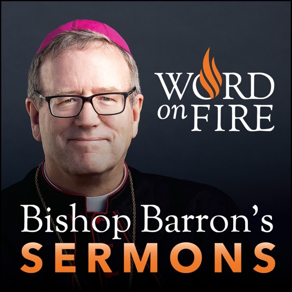 Bishop Robert Barron’s Sermons - Catholic Preaching and Homilies Artwork