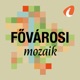 Fővárosi mozaik - InfoRádió - Infostart.hu