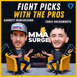 Fight Picks with the PROS | Thiago Santos Vs. Johnny Walker