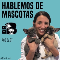 Hablemos de Mascotas con Dr.B Vet 