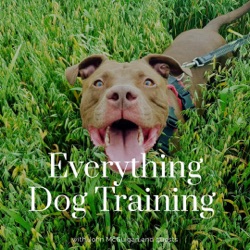 Episode 5 - Dog Training is...