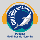 Golfinhos de Noronha - Projeto Golfinho Rotador