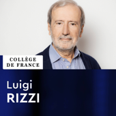 Linguistique générale - Luigi Rizzi - Collège de France