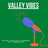 Valley Vibes artwork