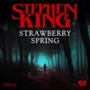 Strawberry Spring artwork
