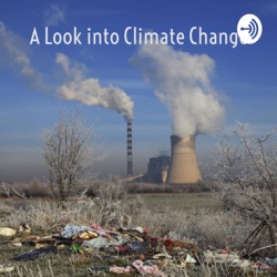 A Look into Climate Change: From Environmental Urgency to Individual Sustainability.