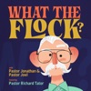 What The Flock? artwork