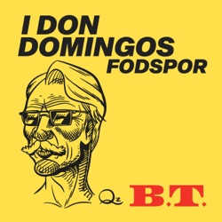 I Don Domingos Fodspor