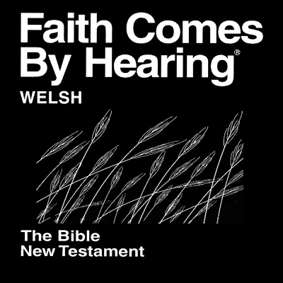 Beibl cymraeg (nad ydynt yn dramateiddio) - Welsh Bible  (Non-Dramatized)