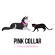 Pink Collar: A True Crime Podcast