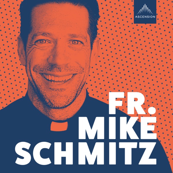 The Fr. Mike Schmitz Catholic Podcast image