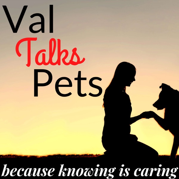 Val Talks Pets Artwork