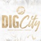 Dig City - Purdue Volleyball Podcast