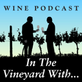 In The Vineyard With Podcast - Moshe Cohen