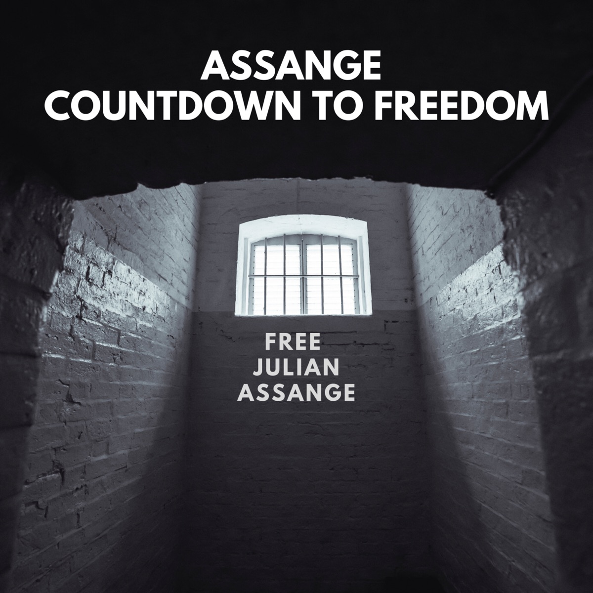 Assange Countdown To Freedom Podcast Podtail