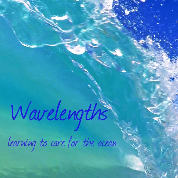 Wavelengths Ocean Podcast