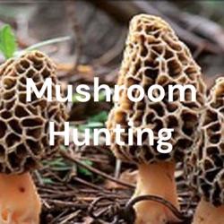 Mushroom Hunting