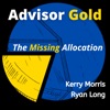Advisor Gold - The Missing Allocation  artwork