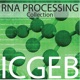 Rna Processing