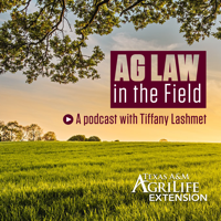 Episode #199: Leah Davis (Partition)
