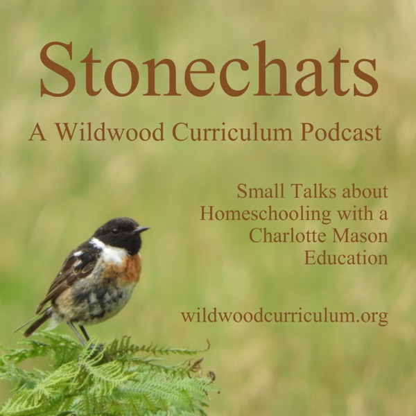 Stonechats from Wildwood Curriculum