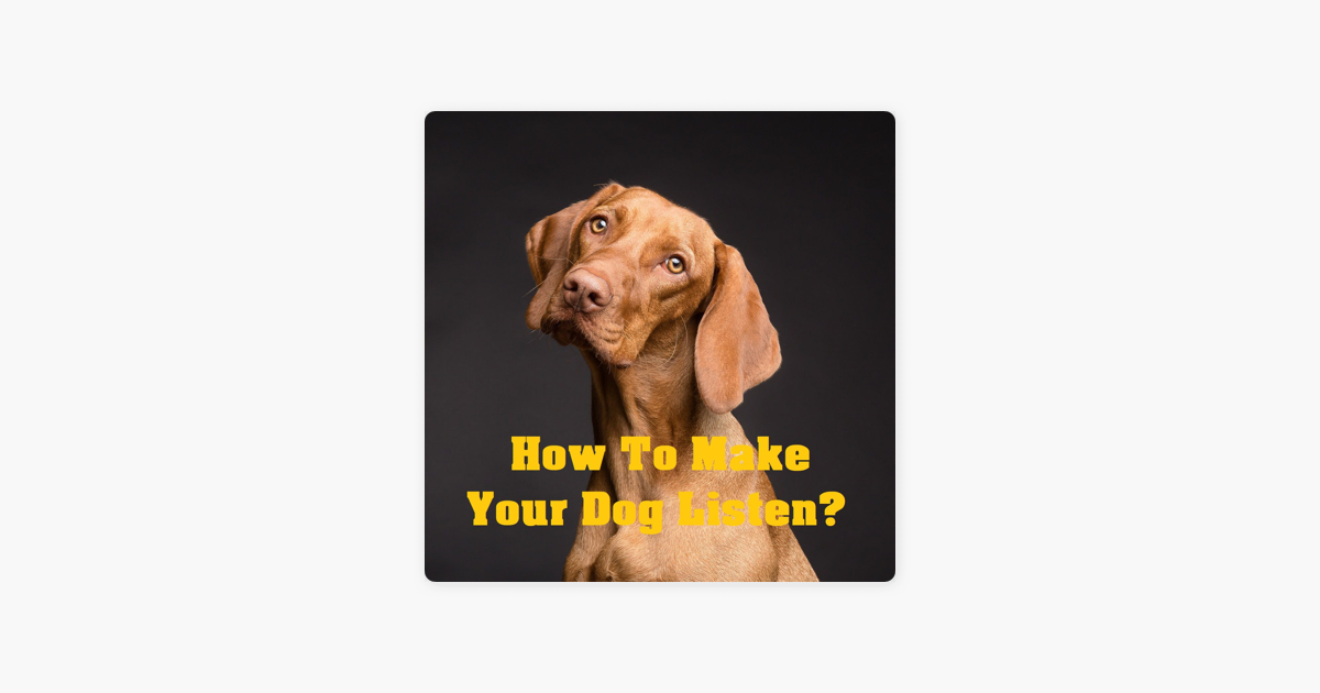 how to make a dog listen