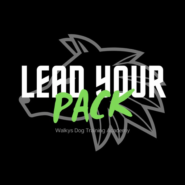 Lead Your Pack Artwork