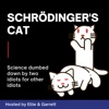 Schrödinger's Cat artwork