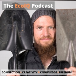 Episode #29 Back To The Answer of Knowledge, with Juanfran Lopez