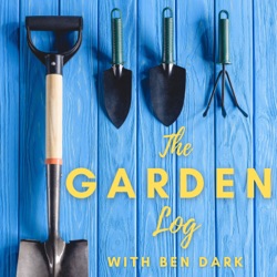 #85 Russian sage, British mud, almond puddings: A gardening podcast