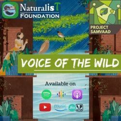 S2E16: The Invasion On Our Natural Wealth