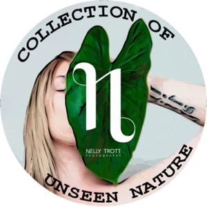Collection of unseen nature