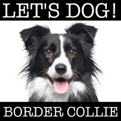 010 Eignet sich der Border Collie als Rettungshund? Dr. Leopold Slotta Bachmayer