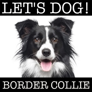 Let's Dog - Bordercollie Podcast