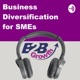 4 of 4 Business Diversification For SME’s - Launch