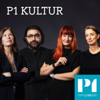 Persbrandt om Hammarskjöld: ”En punkrockare”