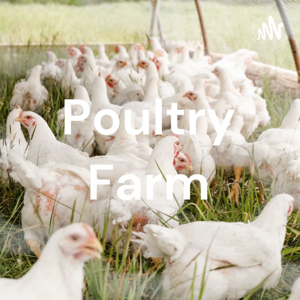 Poultry Farm Artwork