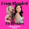 From Blended to Besties artwork