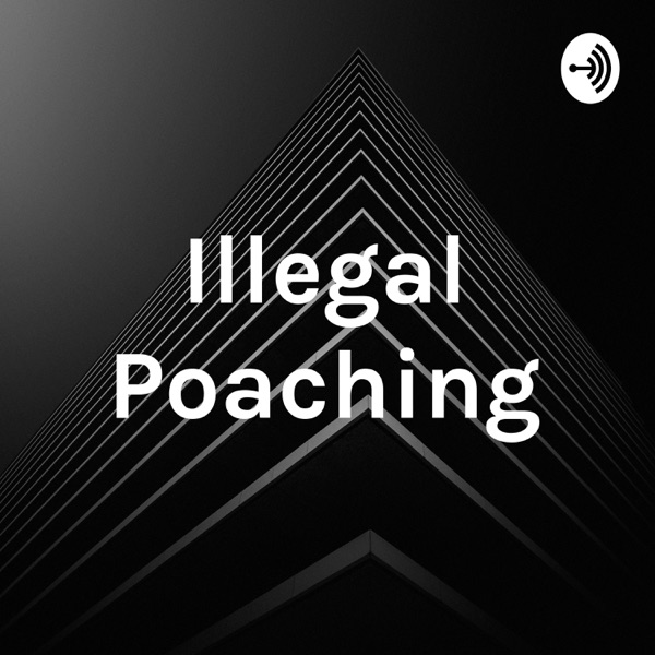 Illegal Poaching Artwork