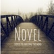 Novel