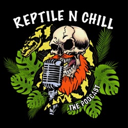 Chilling out with Ambrose Burton - 19 Reptile n Chill