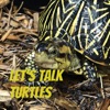 Let's Talk Turtles artwork