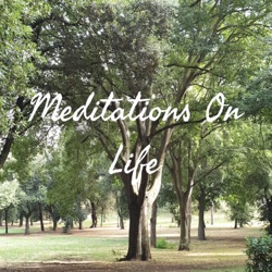 Meditations On Life