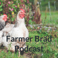 Why do I raise Pastured Poultry?