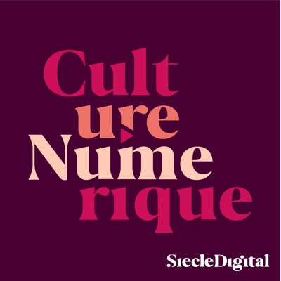 Culture Numérique:Siècle Digital