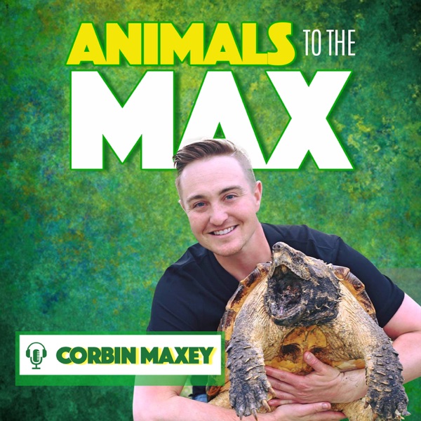 Animals To The Max Podcast Artwork